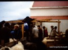 pict1235.jpg