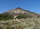 Hv�tserkur