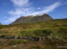 Karlfell