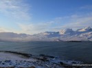 Borgarfj�r�ur eystra - Dyrfj�ll