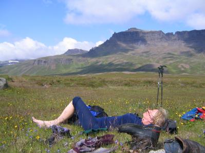 Hv&iacute;ld &iacute; Lo&eth;mundarfir&eth;i