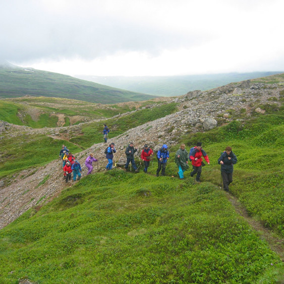 Borgarfjörður eystri