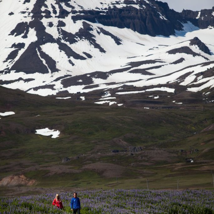 Borgarfjörður eystri