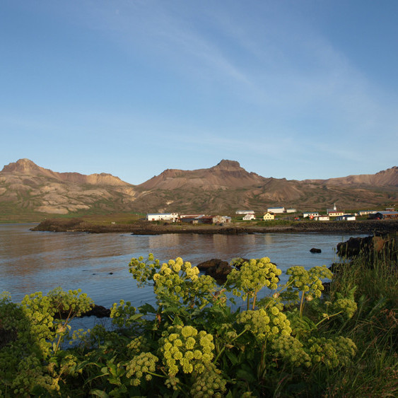 Borgarfjörður eystri