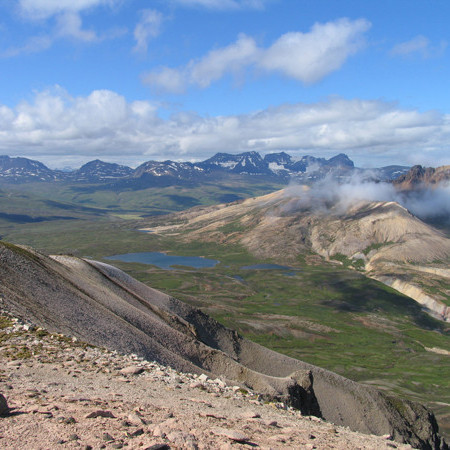 sed_yfir_viknaheidi_af_hvitserk_copy