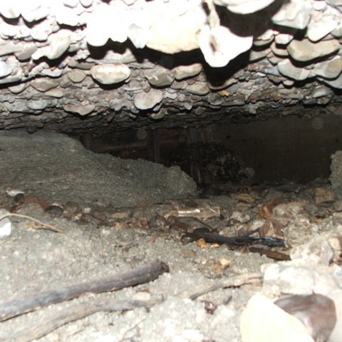 _ekja___hafnargardi_2013_005