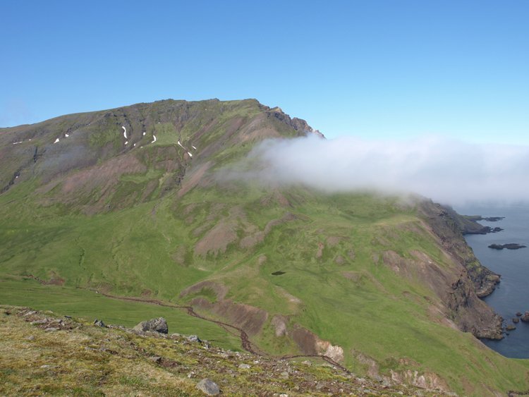 Hvalvík