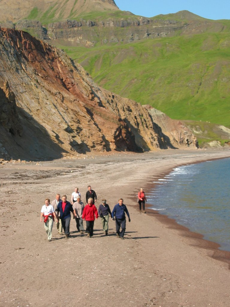 Brúnavík