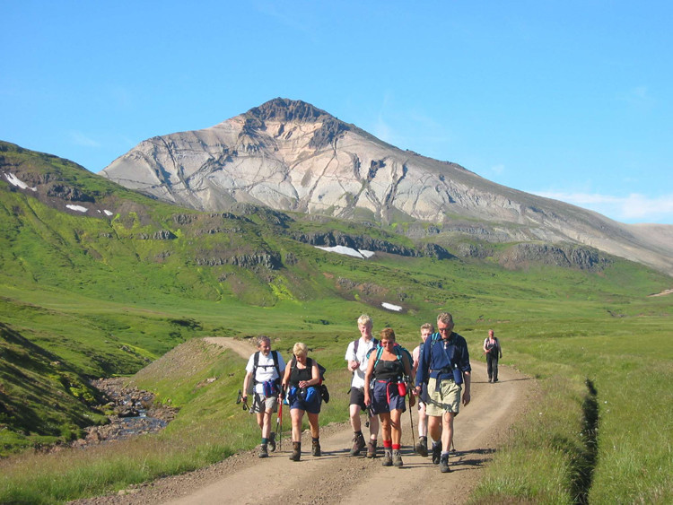 Hvítserkur