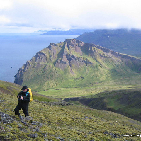 Séð yfir Kjólsvík á leið upp á Glettingskoll