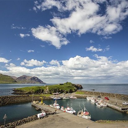 hofnin