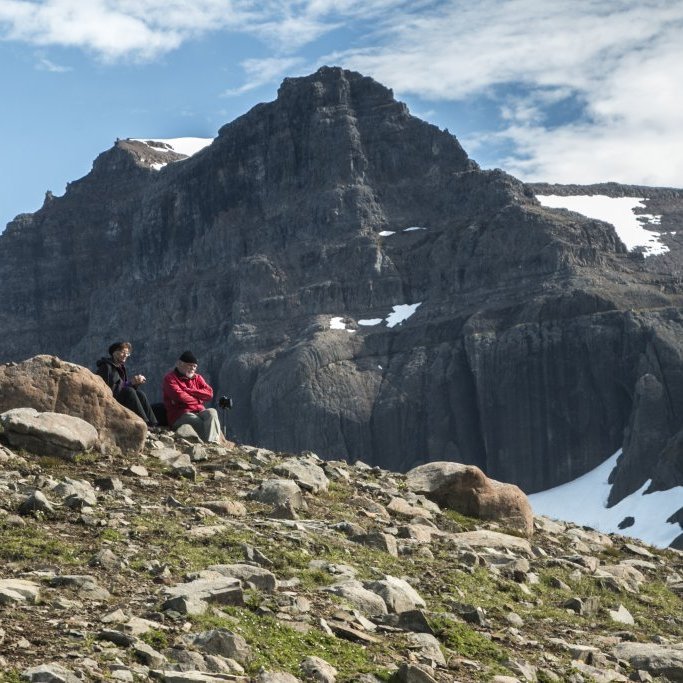 Dyrföll á leið í Stórurð