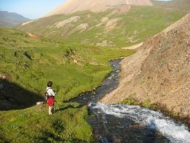 Vatnstungur í Breiðuvík