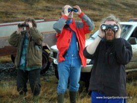 Á hvað ætli þeir séu að glápa?