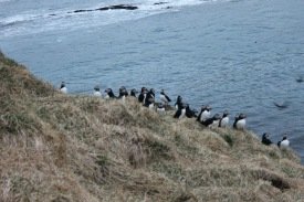 Lundinn mættur að vanda