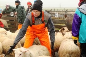 Brandsbalarétt 2012