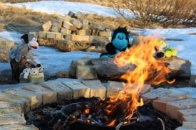 Bangsar eins og fólk eru fjölbreytilegir og sitja þeir hér við friðarbál.