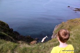 Hvalurinn við Hamarinn