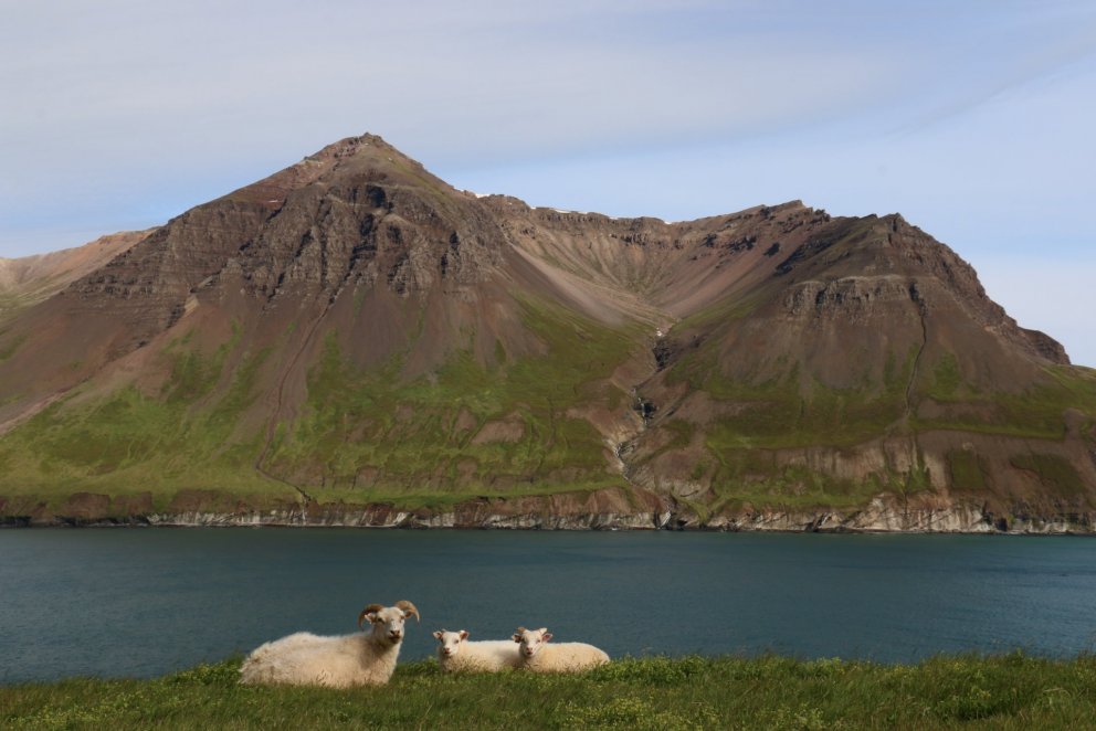 Betri Borgarfjörður - umsóknarfrestur er til 17. apríl