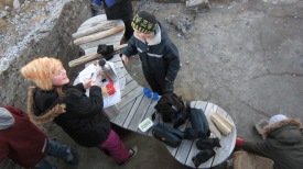 Starfsfólk í skólann