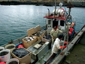 Ársreikningur sveitarfélagsins fyrir árið 2010