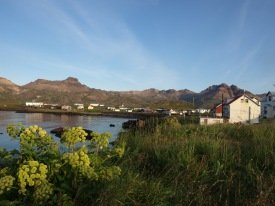 Borgarfjarðarhreppur auglýsir eftir verkefnisstjóra