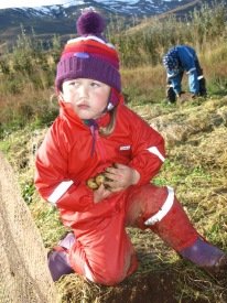 Zlata áhugasöm í garðinum