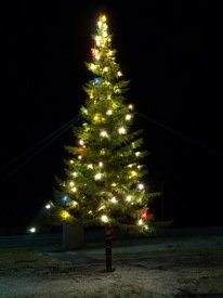 Jólatréð við Fjarðarborg 2012