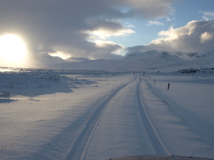 Hið árlega Nýárskaffi í Vinaminni