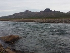 Veiðifélag Fjarðarár auglýsir