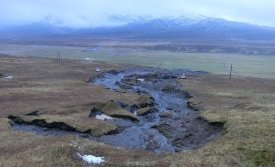 Skriðan við Sesseljuhamra