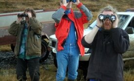 Á hvað ætli þeir séu að glápa?