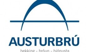 Styrkir til menningarmála - Viðvera menningarfulltrúa á Borgarfirði