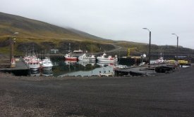 Arkítektasamkeppni um þjónustubyggingu við bátahönina