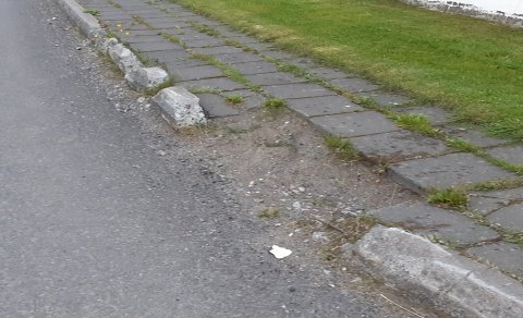 Úrbótaganga - tiltekt