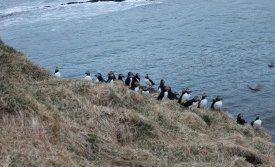 Lundinn mættur að vanda