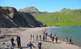 Á Brúnavíkursandi