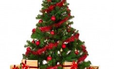 Jólaball Borgfirðinga í Reykjavík