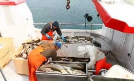 Drekkhlaðinn Glettingur kominn í land eftir metróður