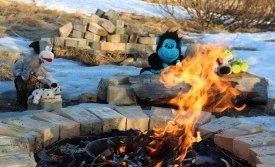 Bangsar eins og fólk eru fjölbreytilegir og sitja þeir hér við friðarbál.