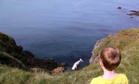 Hvalurinn við Hamarinn