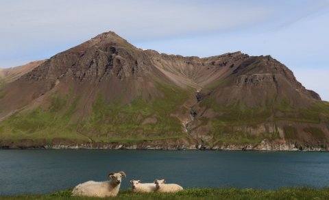 Betri Borgarfjörður - umsóknarfrestur er til 17. apríl