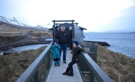 Tekið á móti lundanum