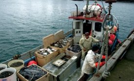 Ársreikningur sveitarfélagsins fyrir árið 2010