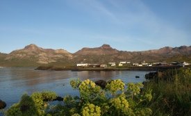 Hið árlega Borgfirðingakaffi í Gullsmáranum