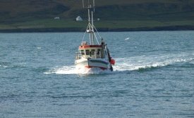 Sjómannadagurinn á Borgarfirði 2013