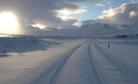 Hið árlega Nýárskaffi í Vinaminni