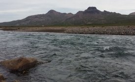 Veiðifélag Fjarðarár auglýsir